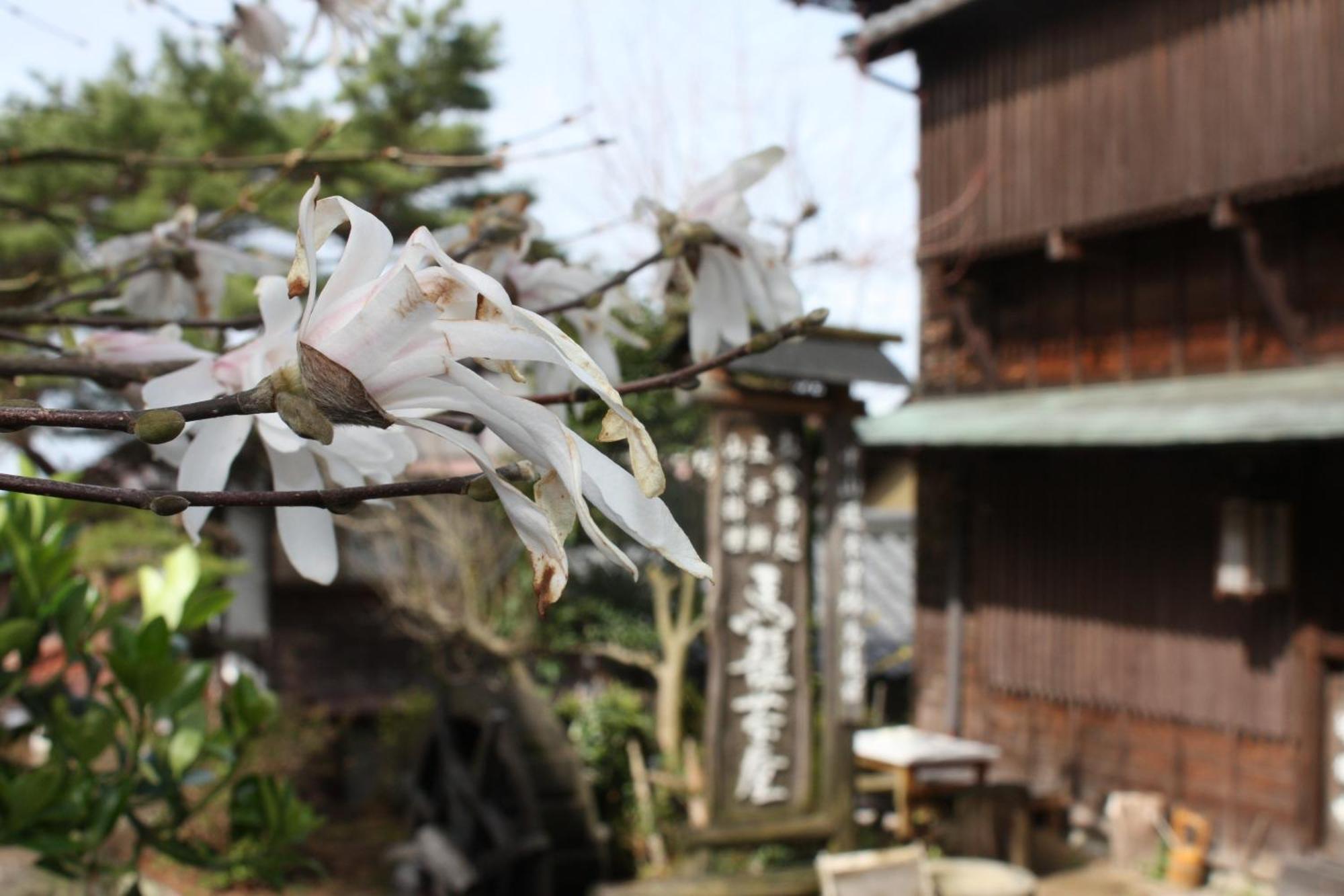 Magome Chaya Hotel Накацугава Екстериор снимка