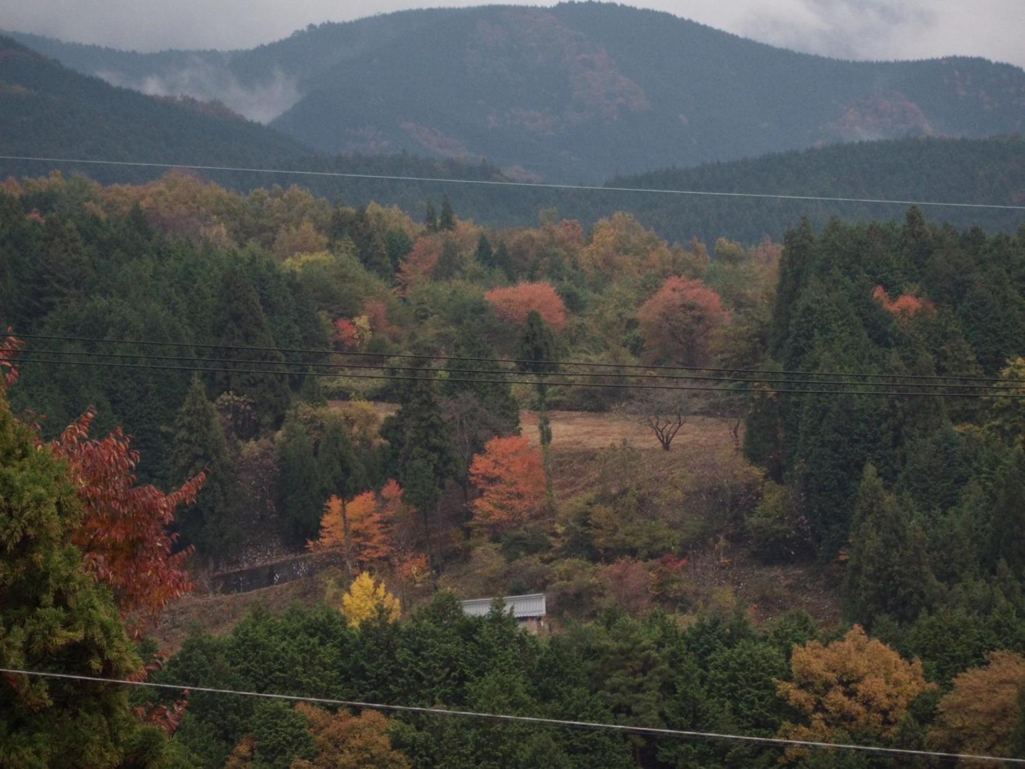 Magome Chaya Hotel Накацугава Екстериор снимка